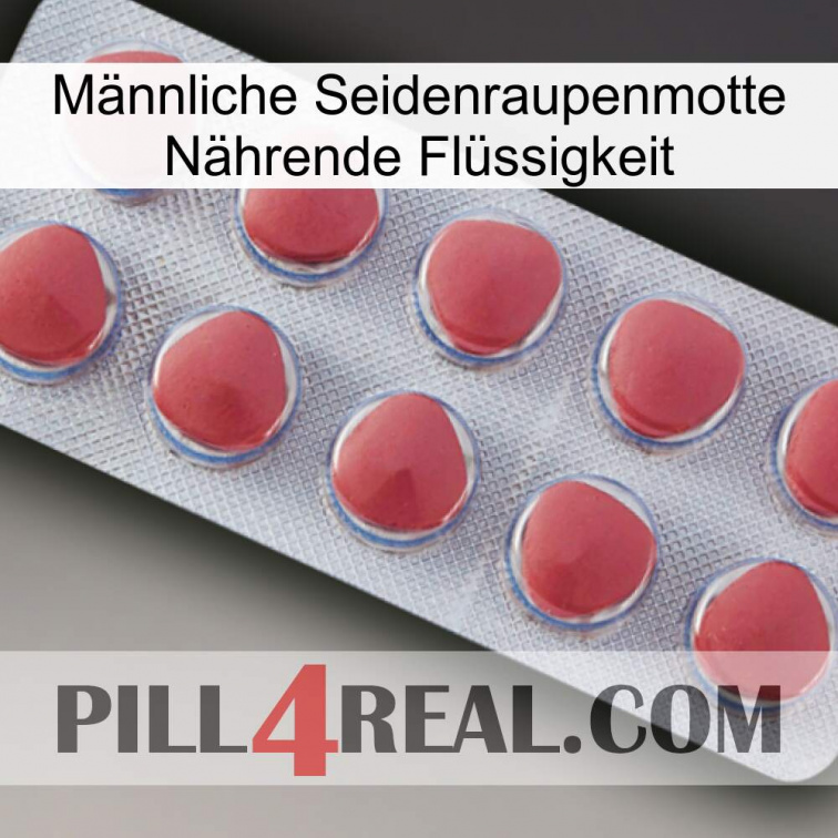 Männliche Seidenraupenmotte Nährende Flüssigkeit 18